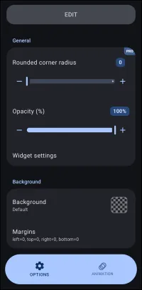 Application Widget Option Edit dialog