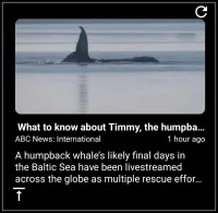RSS Reader