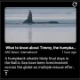 ui-widget-rss_reader-image.webp